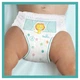 Підгузки Pampers трусики Pants Junior Розмір 5 (12-17 кг), 48 шт (4015400672906) - изображение 10