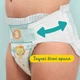 Підгузки Pampers Active Baby Maxi Розмір 4 (9-14 кг) 76 шт (8001090949615) - изображение 6