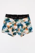 Трусы боксеры мужские хлопковые Giulia G-MAN PRINT 20405/60 M Multicolor-watercolor pattern, классические боксеры - изображение 2