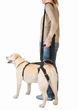 Поддержка Frakishtak для задних лап "кольцами" размер М Черный - изображение 3