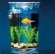 Аквариум для рыбок самоочищающийся My Fun Fish - изображение 8