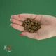Сухой корм для собак мелких пород BRAVERY Herring Mini Adult с селедкой 7 кг - изображение 2