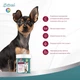 Витамины 8in1 Excel «Multi Vitamin Small Breed» для собак мелких пород, 70 таблеток (мультивитамин) - изображение 8
