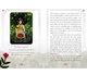 Карты Оракул Время года ведьмы Литы - Seasons of the Witch. Litha Oracle. Rockpool Publishing - изображение 6