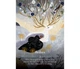 Карты Оракул Время года ведьмы Имболк - Seasons of the Witch. Imbolc Oracle. Rockpool Publishing - изображение 11