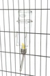 Поилка для грызунов стеклянная 125 мл TX-60441 - изображение 2