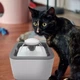 Автоматическая поилка для животных Фонтан 2,5 л Pet Water FOUNTAIN19х18.8х7 см, с питанием от USB, пластиковая - изображение 2