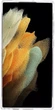 Чохол Case-Mate Tough Prints для Samsung Galaxy S22 Ultra (S908) (CM048608) Clouds - зображення 5