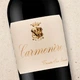 Вино San Leonardo Carmenere 2020 красное сухое 0.75 л 13% (8032797777003) - изображение 3
