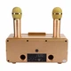 Портативна Караоке система з двома мікрофонами SDRD SD 309 Gold - зображення 2
