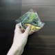 Животные динозавры МИКС цена за 1 шт Jisam toys (JS20-1) (283850) - изображение 2