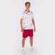 Футболка бело-красная Joma TIGER III 101903.206 Joma XS - изображение 6