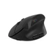 Мишка Canyon MW-25 LED Silent Wireless/Bluetooth Black (CNS-CMSW25) - зображення 2