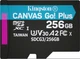 Карта пам'яті Kingston MicroSDXC 256GB Canvas Go! Plus Class 10 UHS-I U3 V30 A2 (SDCG3/256GBSP) - изображение 1