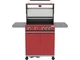 Gazowy grill YATO YG-20034 OKAYA 4+1 z szybą Czerwony (5906083114526) - obraz 4