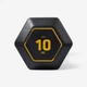 Гантель Hex для крос-тренінгу 10 кг CORENGTH - изображение 1