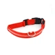 Світлодіодний Lesko Red XS LED нашийник USB світиться для собак та котів - зображення 1