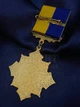 Медаль із посвідченням Collection Гордість нації 45 мм Різнокольоровий (hub_1m3og7) - зображення 2