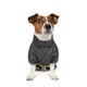 Комбинезон для собак Pet Fashion Rain M2 Серый (PR242592) - изображение 2