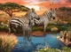 Пазл Ravensburger Zebras at the Watering Hole 1000 елементів (4005555003656) - зображення 2