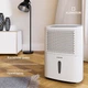 Осушитель воздуха Klarstein DryFy 10 л 30 м² (10046366) - изображение 3