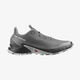 Мужские кроссовки SALOMON ALPHACROSS 5 (473133) 45 (29 см) - изображение 2