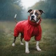 Дощовик для собак WAUDOG Clothes водонепроникний S32 В 47-50 см С 35-38 см червоний - изображение 4