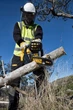 Пила цепная аккумуляторная 18В шина 30см 3/8" без АКБ и ЗП DeWALT 000326801 - изображение 4
