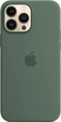 Чохол Silicone Case with MagSafe для Apple iPhone 13 Pro Max (MN6C3) Eucalyptus - зображення 3