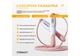 Скакалка скоростная для похудения (беспроводная) EasyFit TwinRope EF-1909-WP (с счетчиком) 2,8 м Белый-розовый - изображение 3