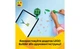Конструктор LEGO Черепаха з квіткою водяної лілії 124 деталей (31377) - изображение 8