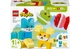 Конструктор LEGO Чарівні творчі домашні улюбленці 3 в 1 24 деталей (10477) - изображение 1