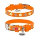 Ошейник WAUDOG Glamour с QR паспортом с узором Звездочка Светящийся 19-25 см 12 мм Оранжевый (35834) - изображение 1