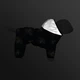 Комбинезон для собак Waudog Clothes Флаг L55 77-79х47-50 см (5455-0229 Col) - изображение 4