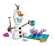 Конструктор LEGO Disney Пикник Олафа и Бруни (43287) - изображение 3