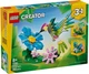Конструктор LEGO Creator Барвистий колібрі (31384) - зображення 1