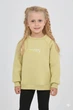 Свитшот на флисе Toontoy Светло-салатовый 110 см 24909 (566568) - изображение 1