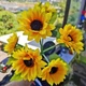 Квітка-ліхтар соняшник 6 соняхів декоративне підсвічування саду легкий монтаж гнучкі стеблі на сонячній панелі - зображення 3