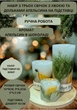 Набор свечей ручной работы ароматизированные декоративные свечи в наборе из 3 шт на подставке с хвоей и дольками апельсина аромат апельсин в шоколаде - изображение 1
