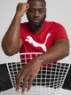 Футболка хлопковая длинная мужская Puma Essentials Foundation 68253611 L For All Time Red с принтом (4067983301933) - изображение 4