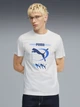 Футболка хлопковая длинная мужская Puma Graphics 69178602 M White с принтом (4069161676079) - изображение 1