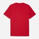 Футболка хлопковая длинная мужская Puma Essentials Graphics 69178711 L For All Time Red (4069161985539) - изображение 5