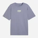 Футболка хлопковая длинная мужская Puma Essentials Graphics 69202365 M Gray Sky с принтом (4069161737039) - изображение 5