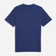 Футболка хлопковая длинная мужская Puma Essentials Graphics 69203149 M Blue Jewel с принтом (4069161744648) - изображение 6
