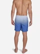 Шорты пляжные мужские Calvin Klein 115463331 S Синие (1159850539) - изображение 2