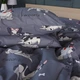 Простынь Ranforce Elite 17-0663 Cute Pug 220*240 - изображение 4