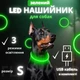 Светодиодный, водостойкий LED ошейник для собак с зарядкой USB, 35 см, размер S (зеленый) - изображение 1