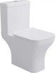 Унитаз-компакт Devit Basic 3590021 с сиденьем Soft Close дюропласт - изображение 1