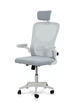 Офісне крісло Comfort Line TONUS Білий/Світло-сірий (TNSWG-124947) Comfort Line 874085-01 874085 - изображение 1