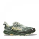 Чоловічі кросівки Hoka Speedgoat 6 GTX Sea Glass/Fern 46 Зелений 1155150-SFRN - изображение 1